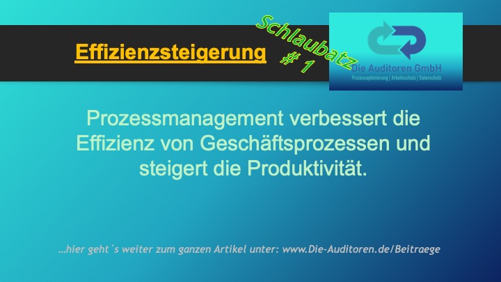 Schlaubatz # 1 10 Effizienzsteigerung