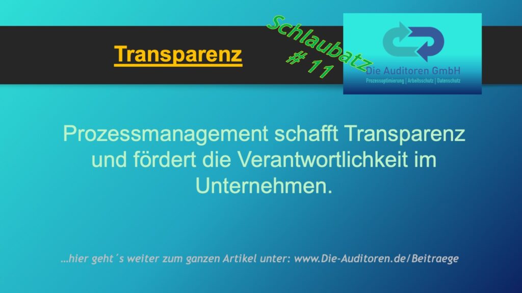 Schlaubatz # 11 10 Transparenz