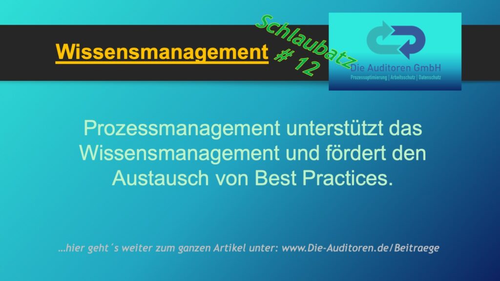 Schlaubatz # 12 9 Wissensmanagement