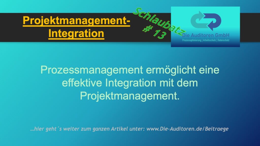 Schlaubatz # 13 8 Projektmanagement-Integration