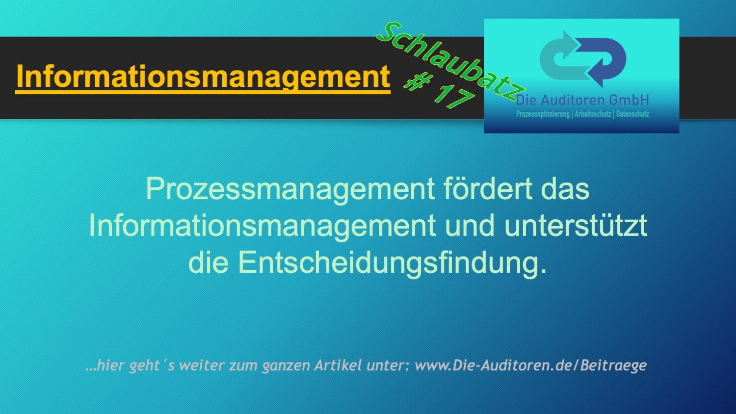Schlaubatz # 17 1 Informationsmanagement