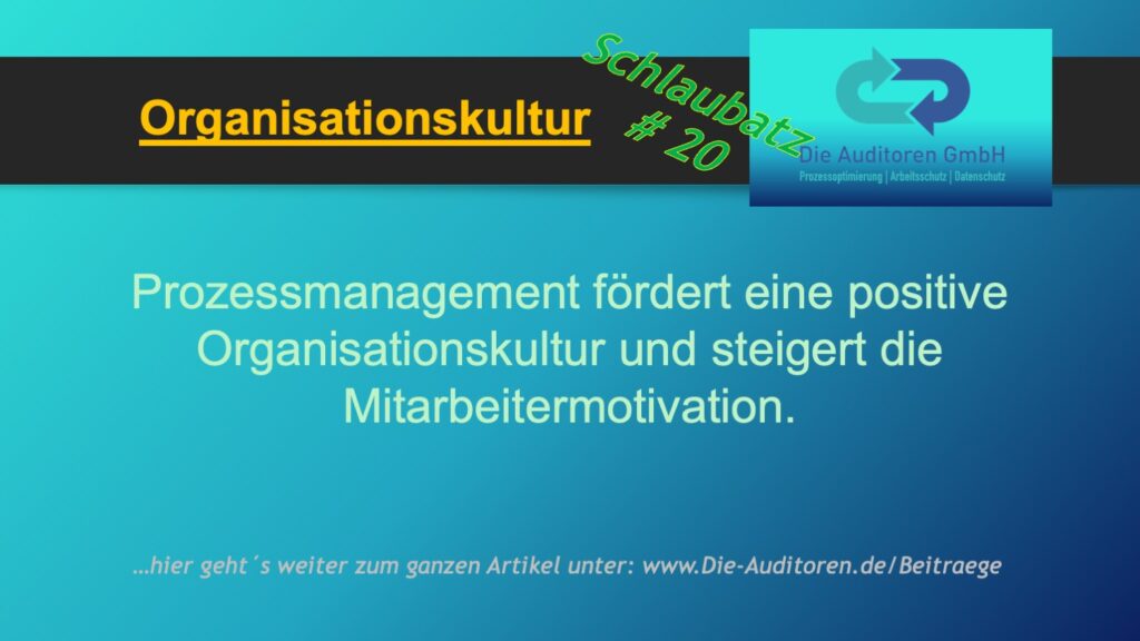 Schlaubatz # 20 1 Organisationskultur