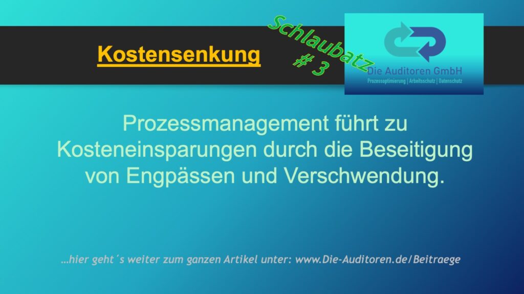 Schlaubatz # 3 8 Kostensenkung