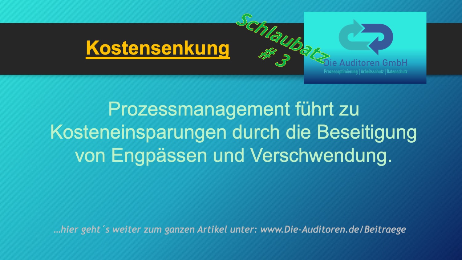 Schlaubatz # 3 1 Kostensenkung
