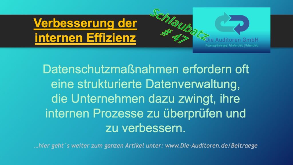 Schlaubatz # 47 4 Verbesserung der internen Effizienz