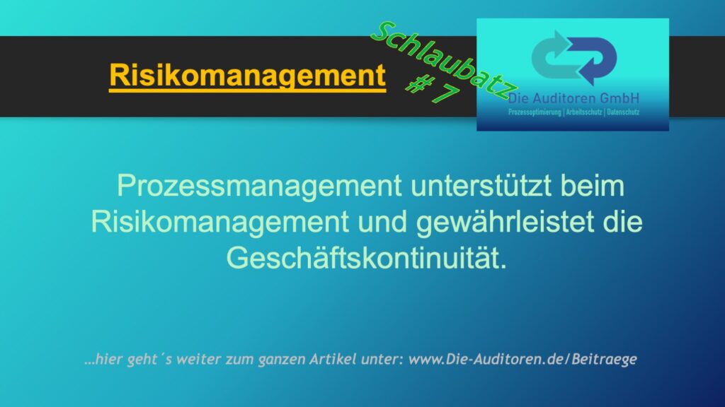 Schlaubatz # 7 4 Risikomanagement